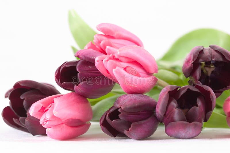 Spring flower bouquet stock images