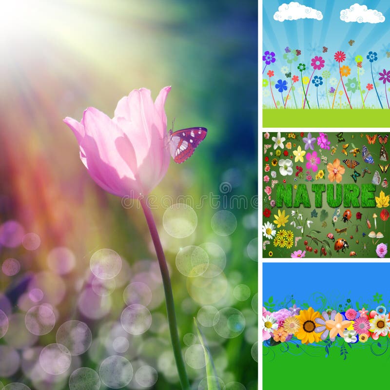 Collage stock illustration. Illustration of green, annual 6119385