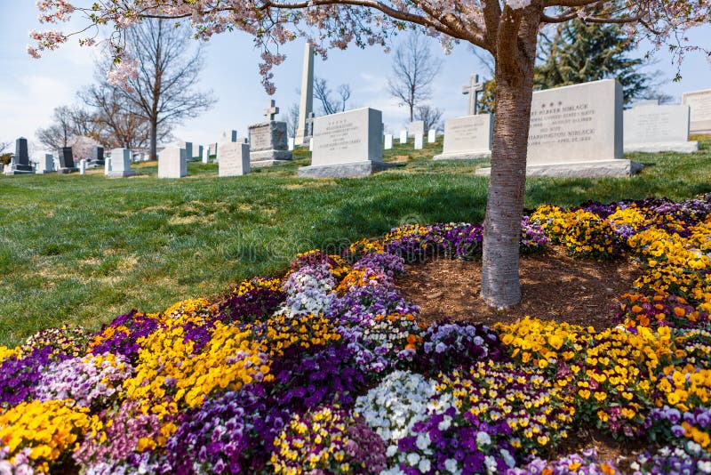 The Spring Flowers at Arlington National Cemetery Editorial Image