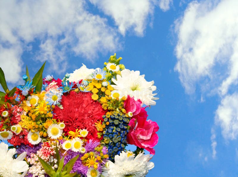 Spring flowers coming up stock image. Image of flower 3793203