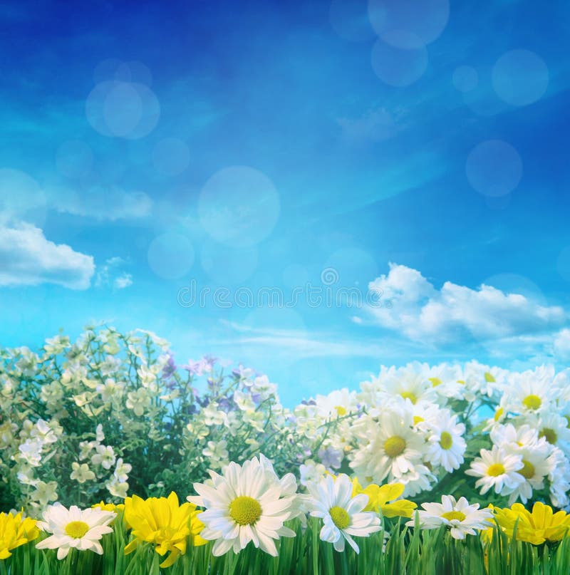 Spring Flowers with Blue Sky Stock Image Image of flower, blue 85350671