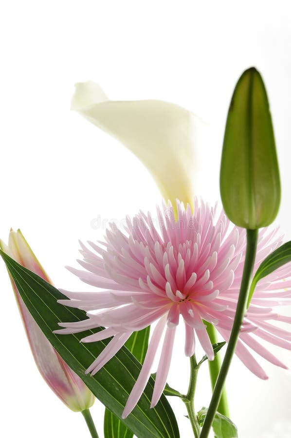 Spring flowers bouquet royalty free stock image Spring flowers bouquet royalty free stock image