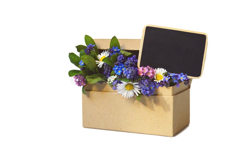 Spring flowers in cardboard chest and blank blackboard