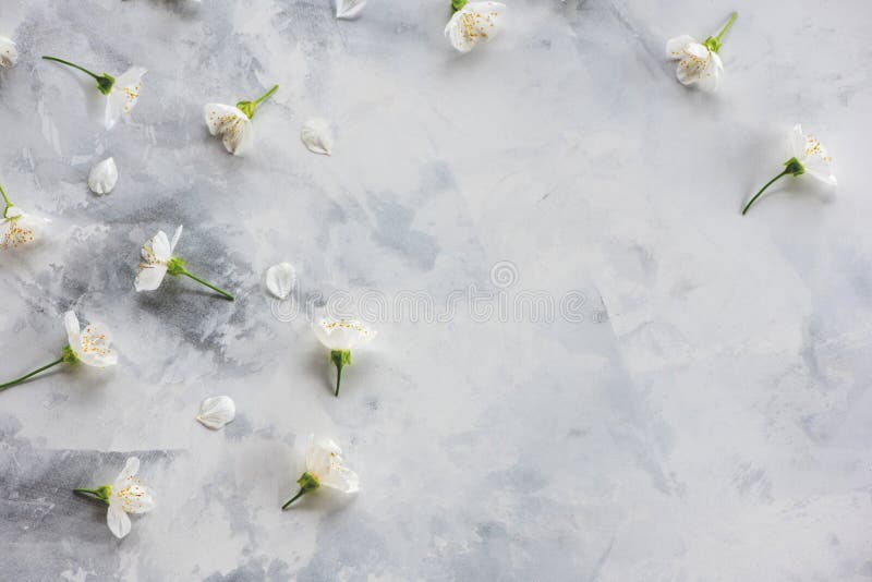 Spring Flowers Cherry Blossom on Marble Background. Stock Photo - Image ...