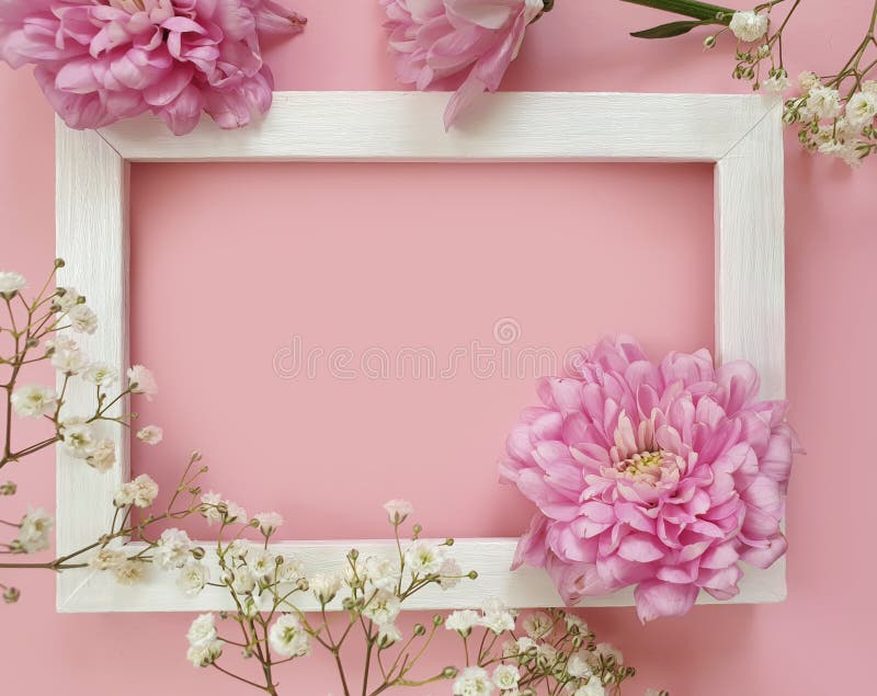 Spring Flowers Creative Vintage Greeting Pastel on Colored Background  Minimal Holiday Floral Stock Photo - Image of flatly, card: 203405040
