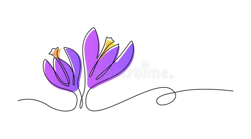 Spring flowers crocus drawn by one line. Vector illustration on a white background. royalty free illustration