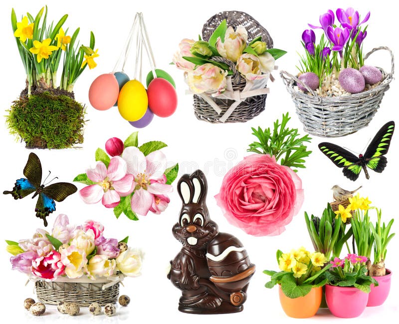 Set of spring flowers, easter eggs, butterfly, rabbit, bunny. easter decorations isolated on white background