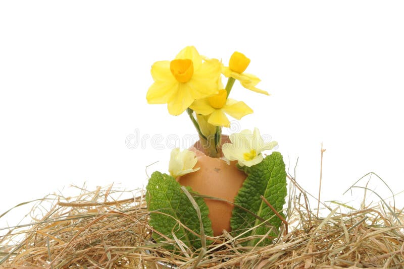 Spring flowers egg and hay