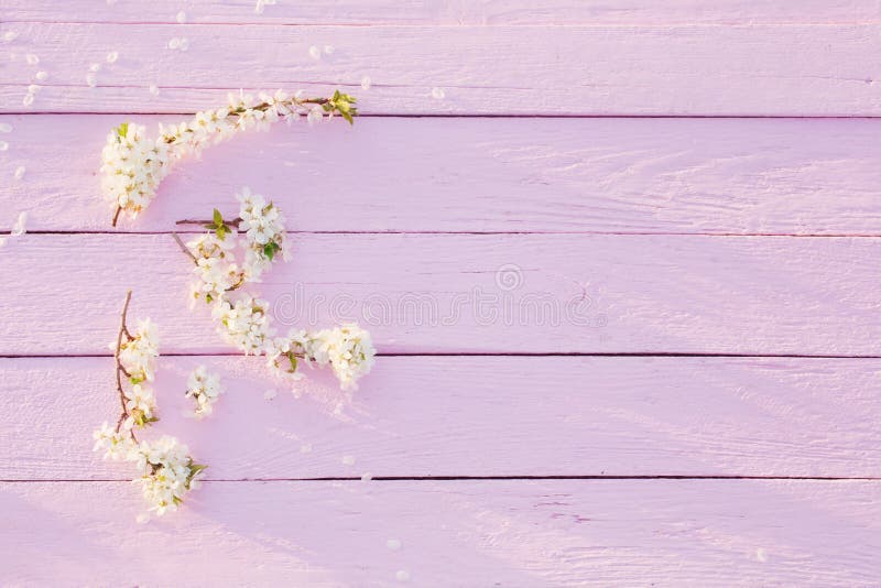 Flowers on Pink Wooden Background Stock Photo Image of flower, bloom 136142674