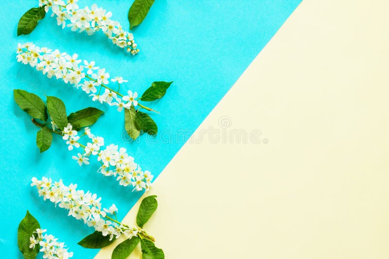 Spring flowers trees. Minimal easter concept. stock photo