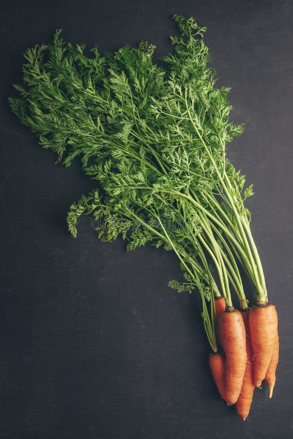 Spring Food Vegetable Carrot. Fresh Orange Carrots and Beetroot. Farm