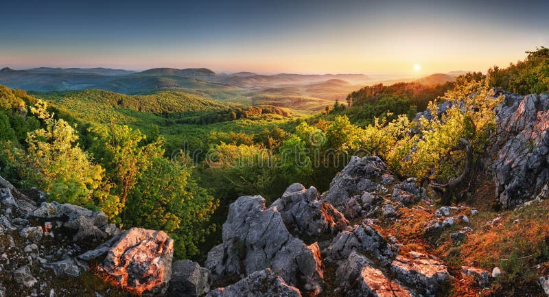 Spring forest moutain landscape panorama at sunrise, Slovakia