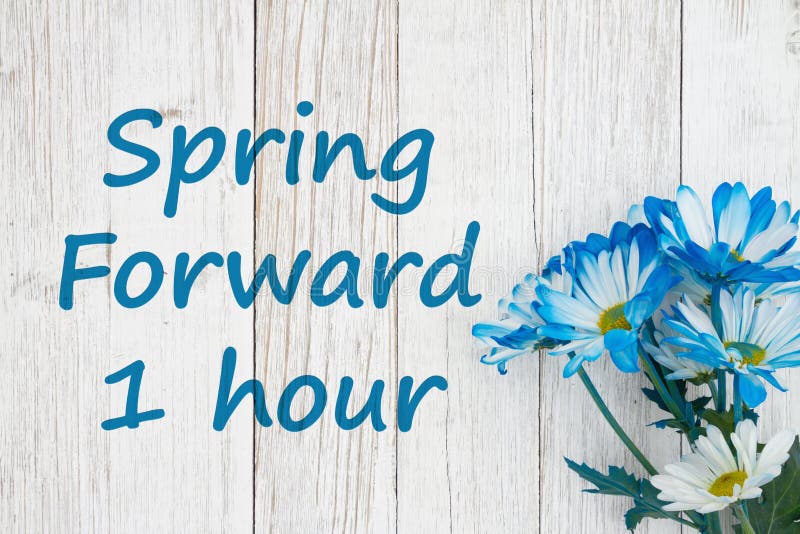 Spring forward 1 hour daylight savings time message with blue daisies