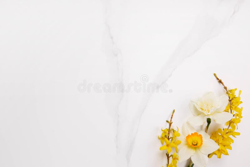 Spring Frame of Yellow Daffodils, Flower Arrangement Stock Photo ...