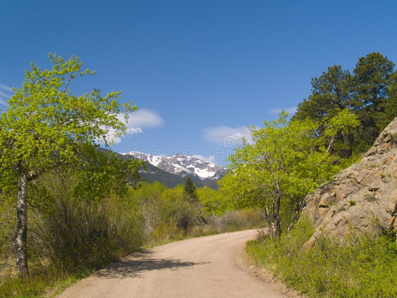 Spring Framing Mountain Road