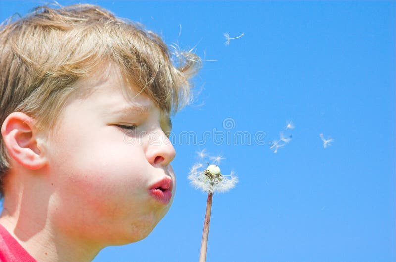 Spring freedom royalty free stock photo Spring freedom royalty free stock photo