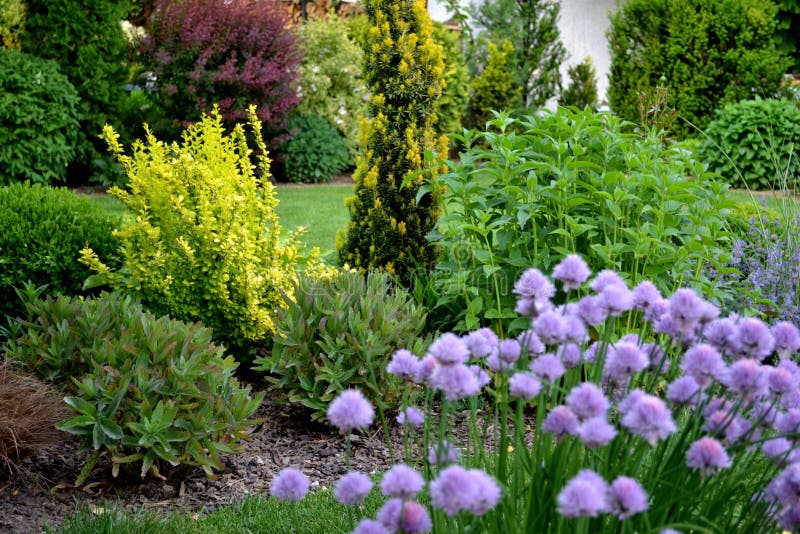 Jarná svieža záhrada s kríkmi a trvalkami