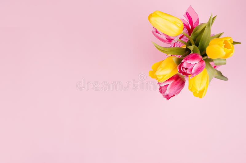 Spring fresh tulips yellow and red bouquet on pastel pink background.