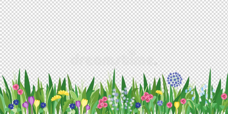 Spring garden grass and flowers border. Cartoon vector flower background. Green elements on transparent background