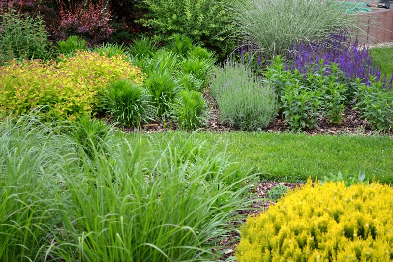 Spring garden with many different species of plant