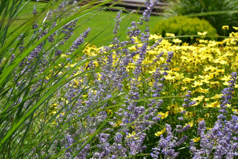 Spring garden with many different species of plants