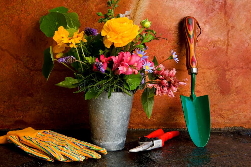 Spring Gardening Tools