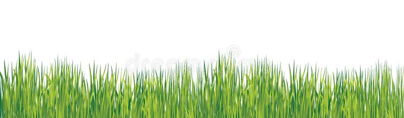 Spring grass