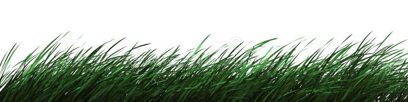 Spring grass