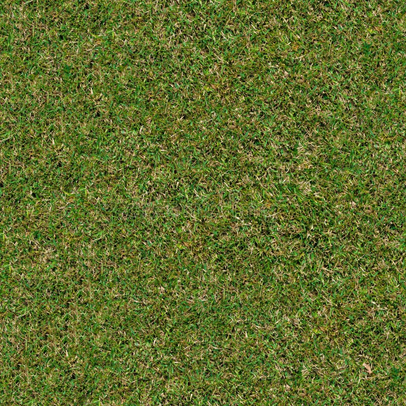 Spring Grass. Seamless TileableTexture. Stock Photo - Image of lawn ...