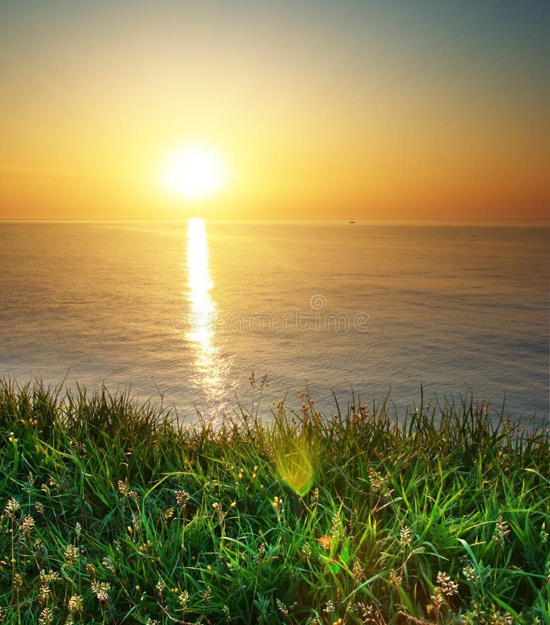 Spring grass and seascape