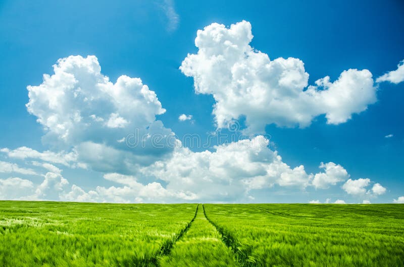 Spring Green Agricultural Field Under Clear Blue Cloudy Sky - Wallpaper or  Background Photo Stock Image - Image of hill, farm: 177968663