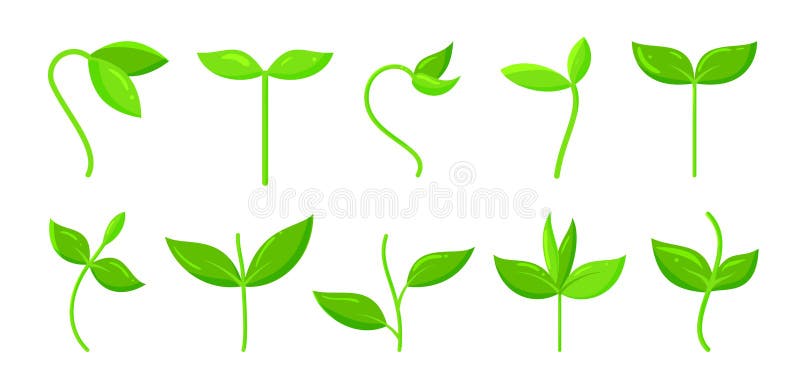 Spring green grass sprout plant cartoon icon set