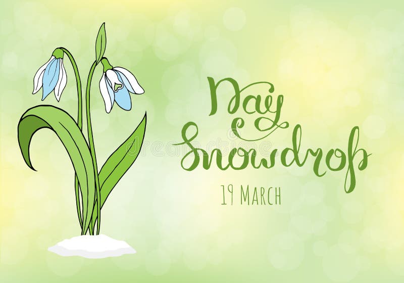 Spring greeting card with snowdrop day. vector illustration