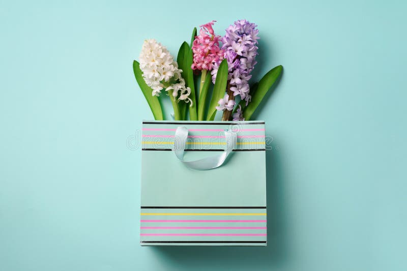 Spring hyacinth flowers in shopping paper bag on blue punchy pastel background. Banner with copy space. Spring, summer or garden royalty free stock photography Spring hyacinth flowers in shopping paper bag on blue punchy pastel background. Banner with copy space. Spring, summer or garden royalty free stock photography