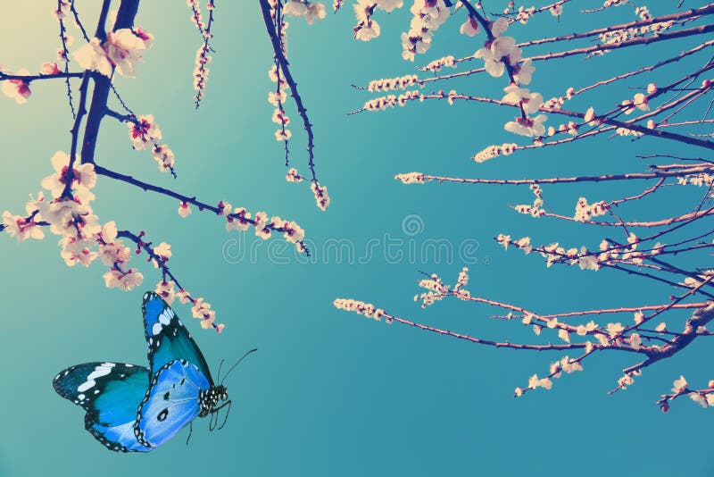Spring is in the air again stock photo. Image of animal 144056918