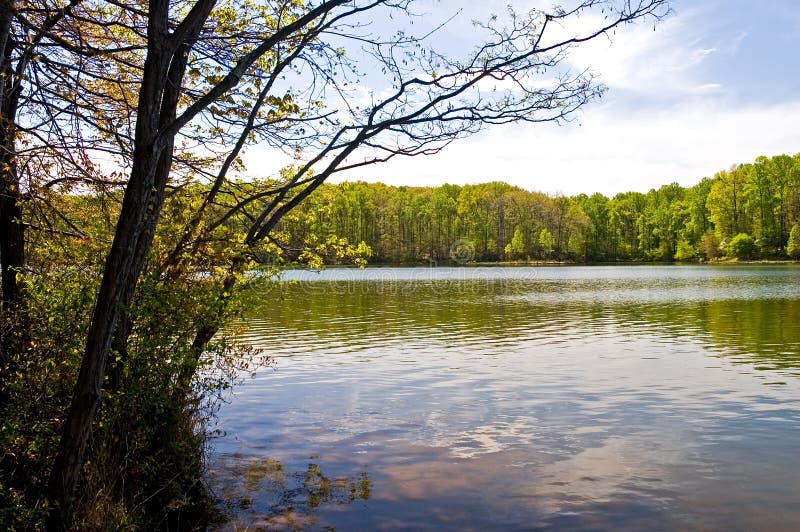 Spring at the Lake royalty free stock photo Spring at the Lake royalty free stock photo