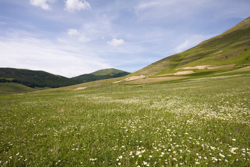 Spring landscape