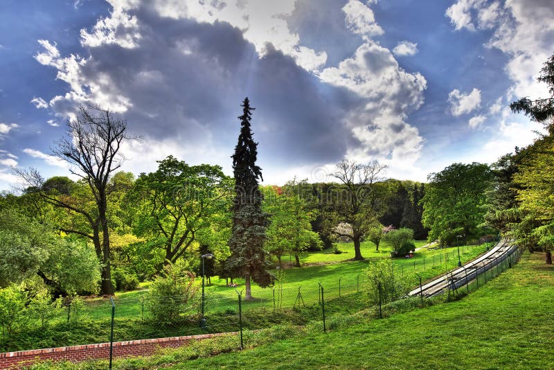 Spring landscape