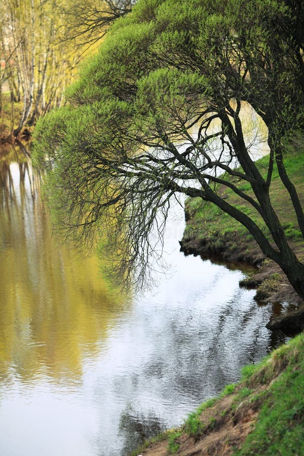 Spring landscape