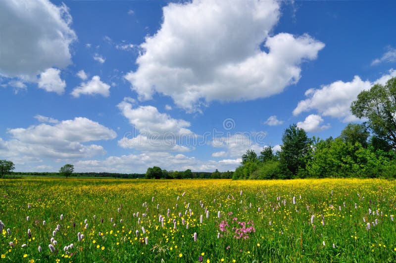 2,597,558 Spring Landscape Photos - Free & Royalty-Free Stock Photos from  Dreamstime