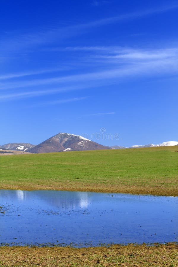 Spring Landscape