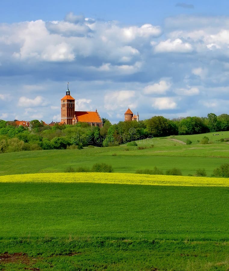 Spring landscape