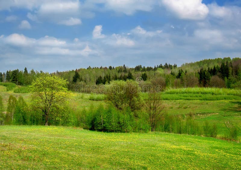 Spring landscape