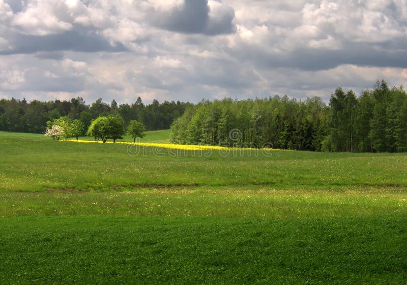 Spring landscape