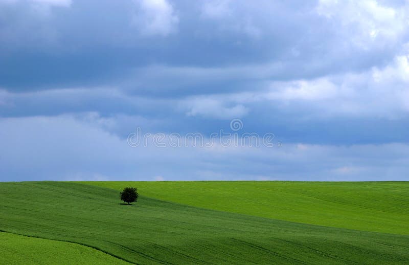 Spring Landscape