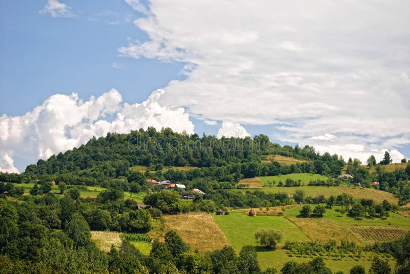 Spring Landscape