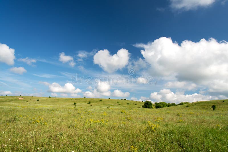 Spring landscape with blue sky and green lawn royalty free stock image