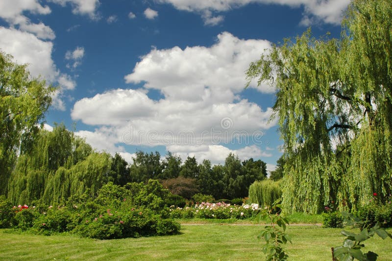 Spring landscape in a botany garden with sky, clouds and trees