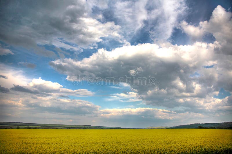 Spring landscape and the cloudy sky.