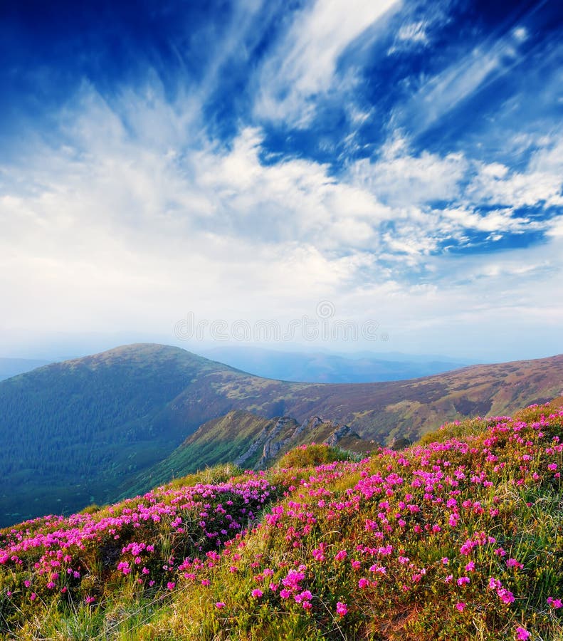 Spring landscape with the cloudy sky and colors